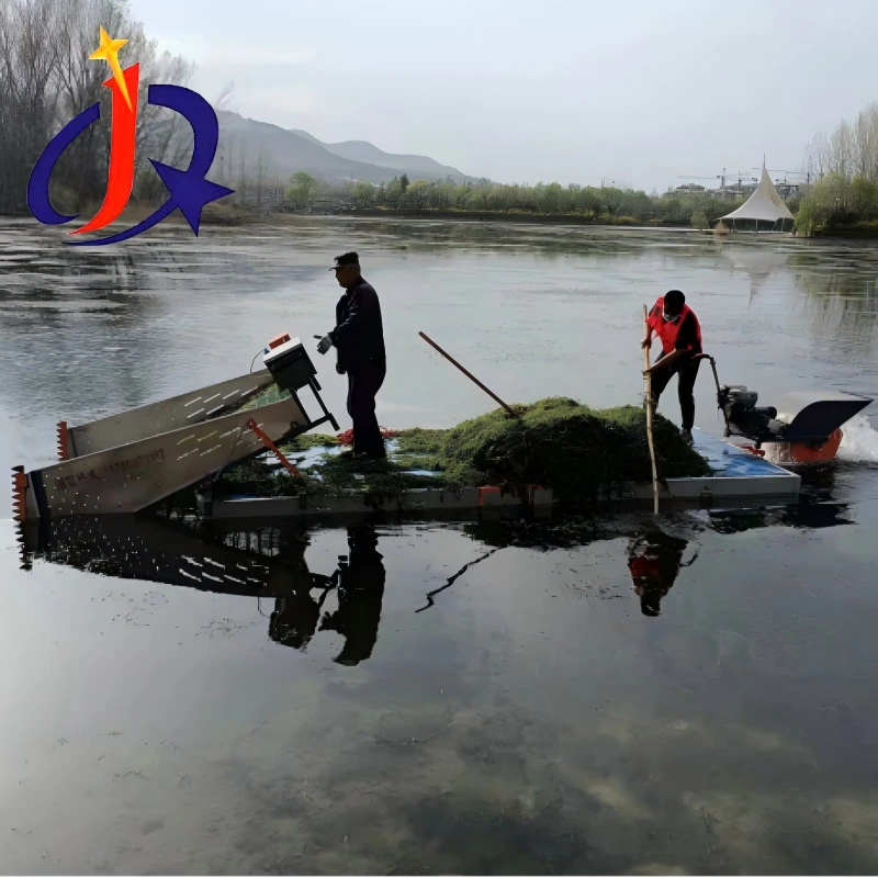 කුඩා කුඩා ජලජ වල් නෙළන්නා